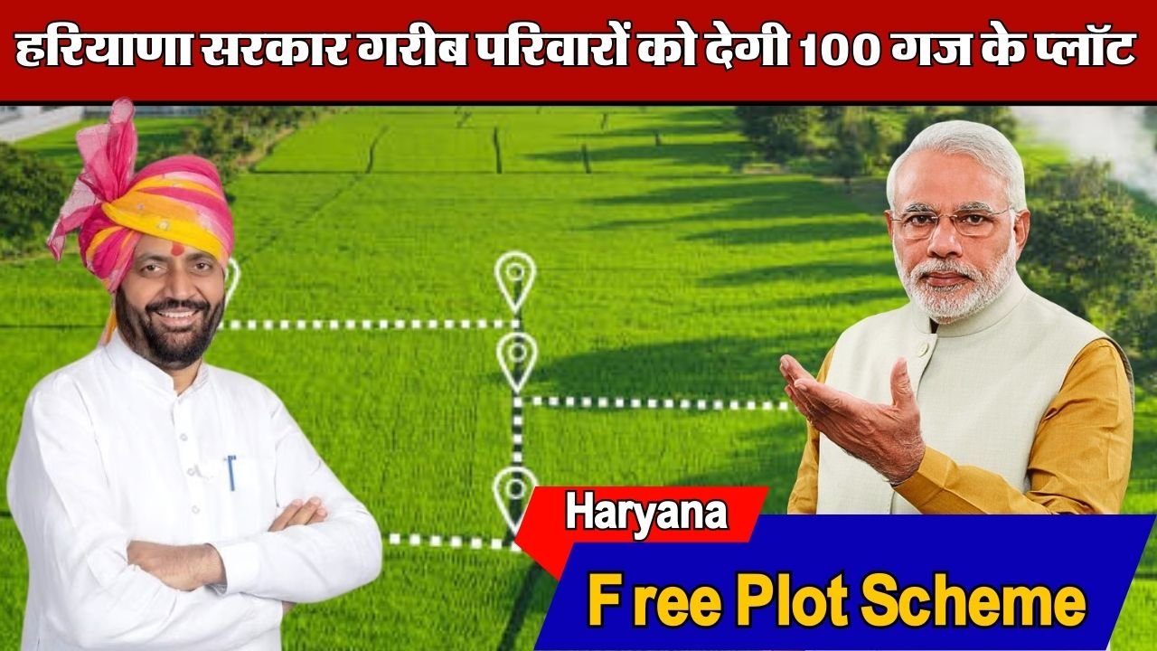 Free Plot Scheme